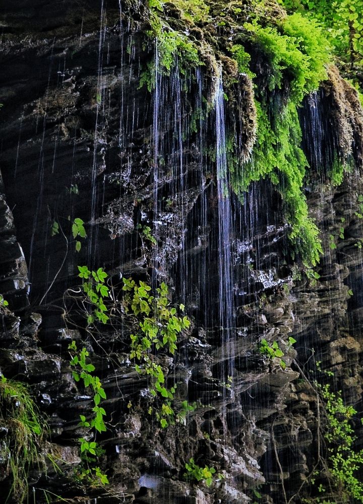 Photograph by Владимир Караман