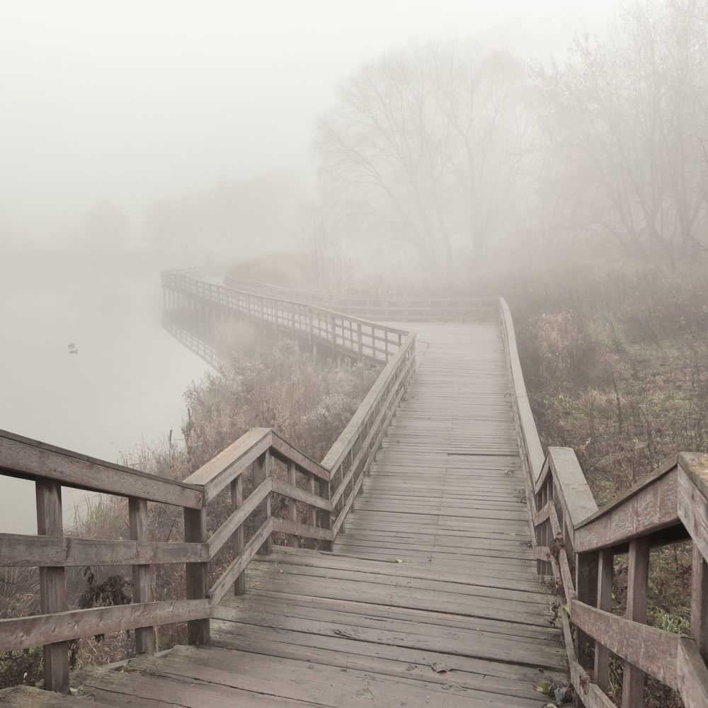 Photograph by Татьяна Макотра