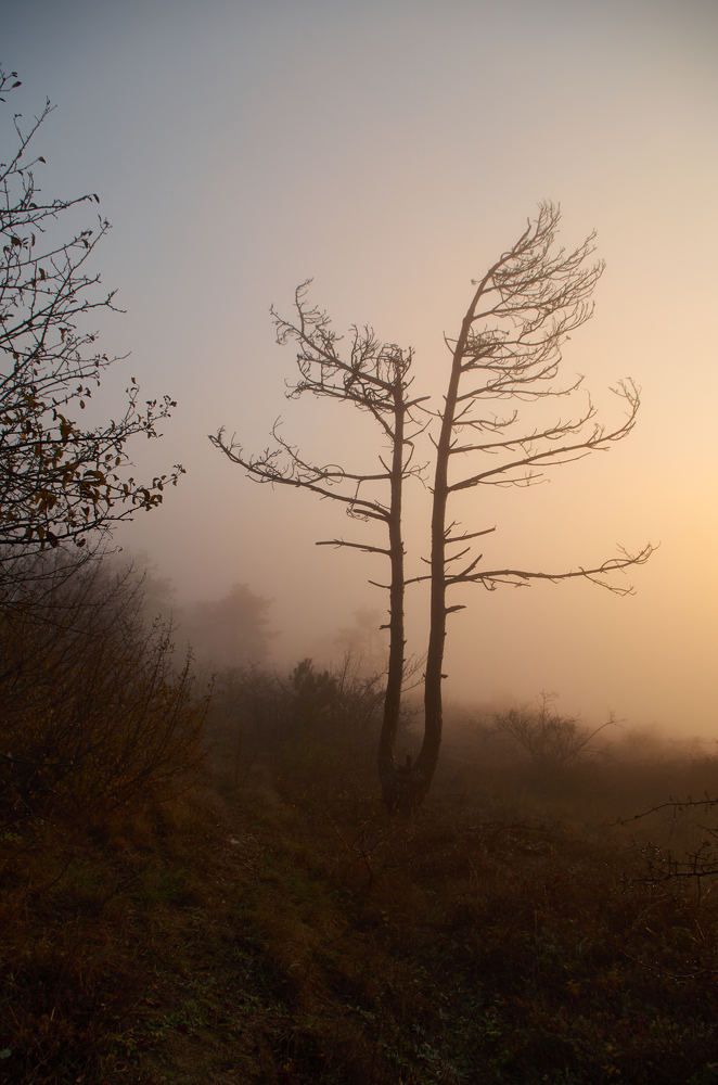Photograph by Александр Пугачев