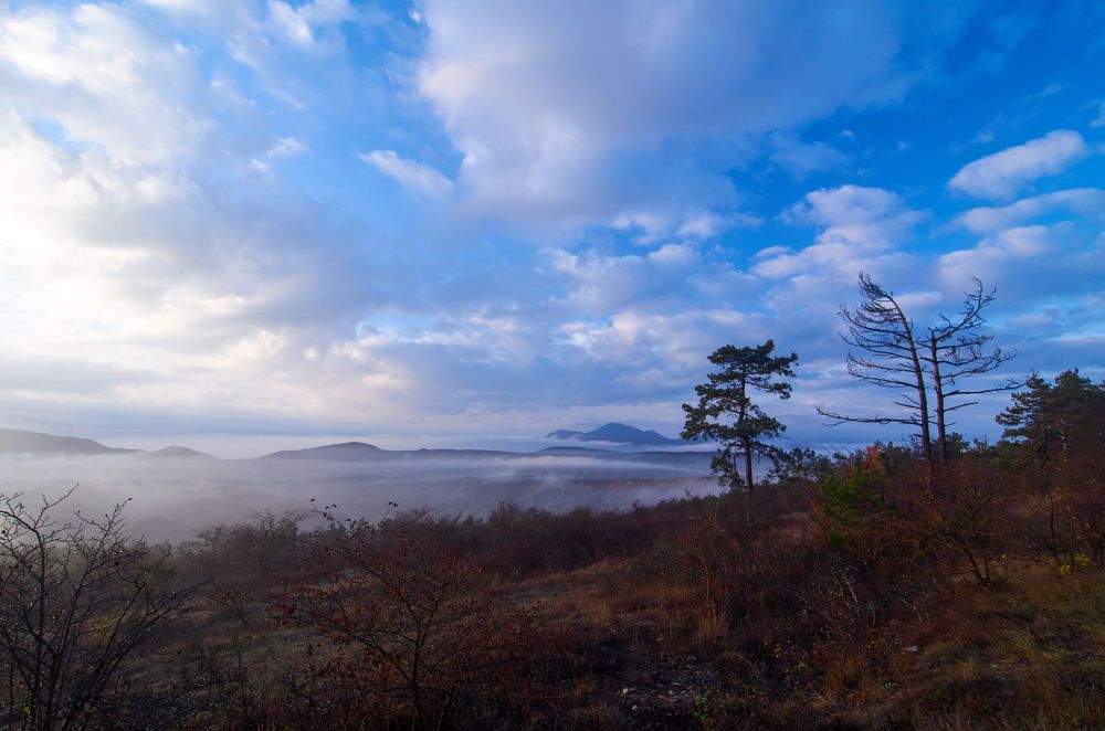 Photograph by Александр Пугачев