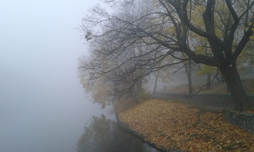 Photograph by Елена Титарева