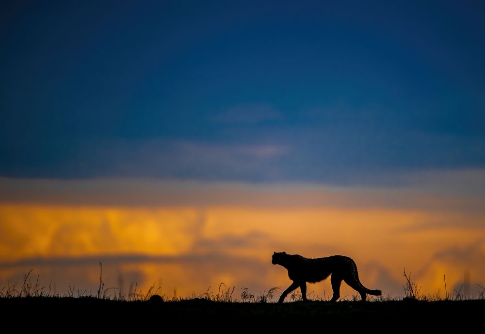 Photograph by Dilip Shah