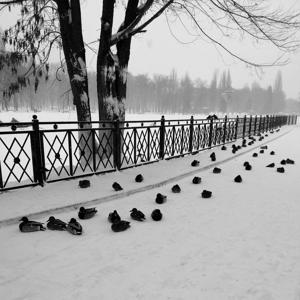 Photo #6813745