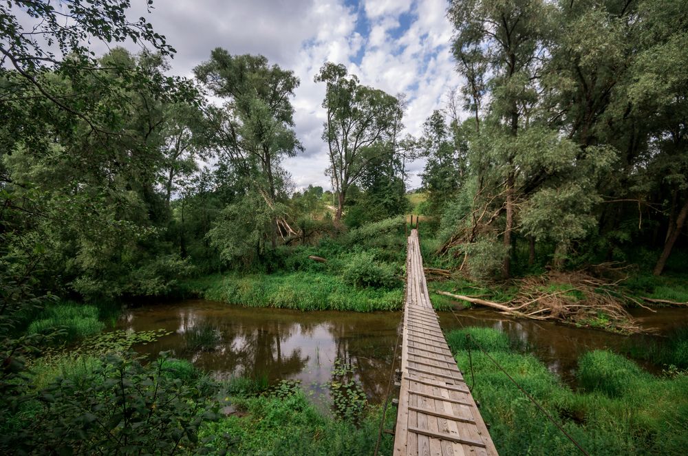 Photograph by Мария Чепрасова