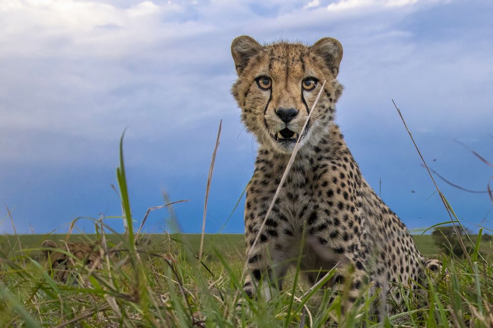 Photograph by Dilip Shah