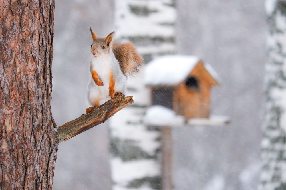 Photograph by Ольга Тюрина