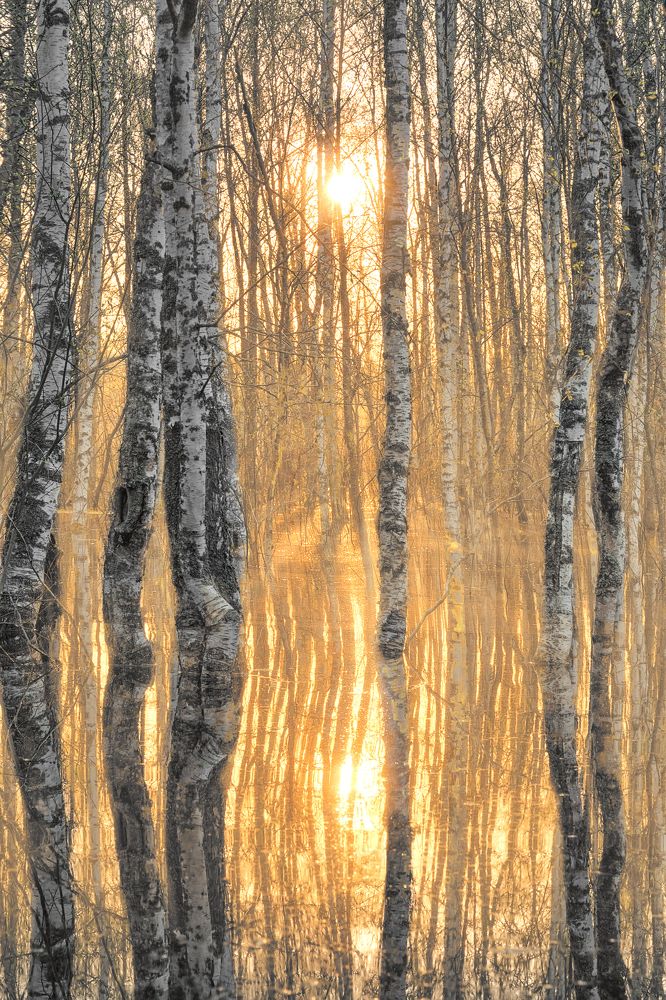 Фотография автора Максим