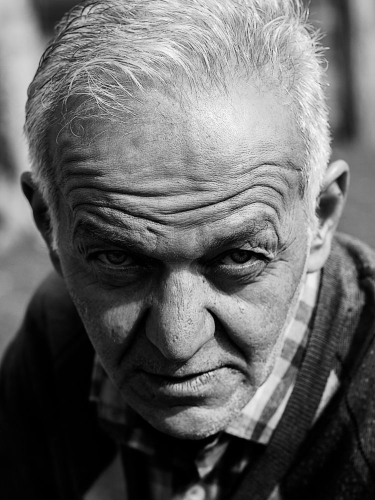 Photograph by Babak Yazdizadeh