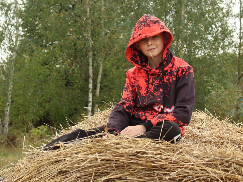 Мальчик на стоге сена.