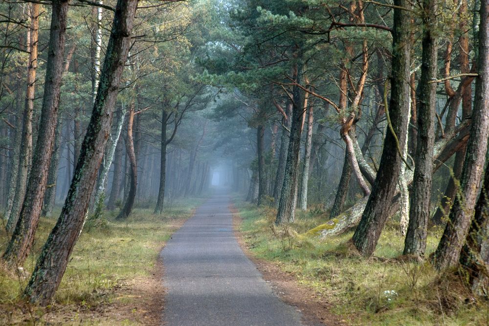 Photograph by Rolandas Valančauskas