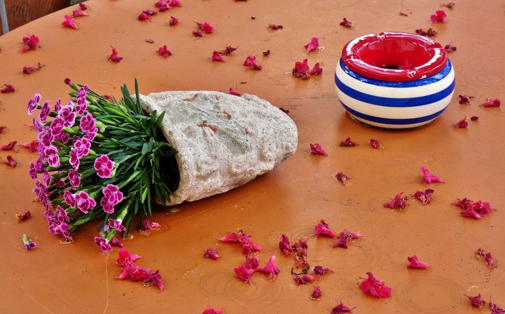 Photograph by backareva irina