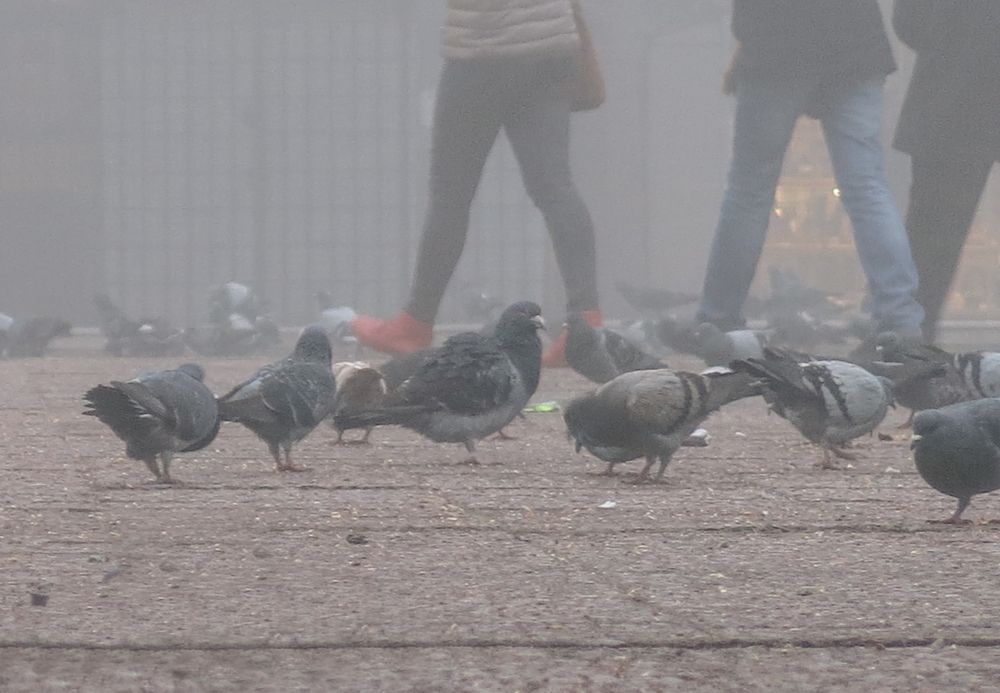 Photograph by Viviana García