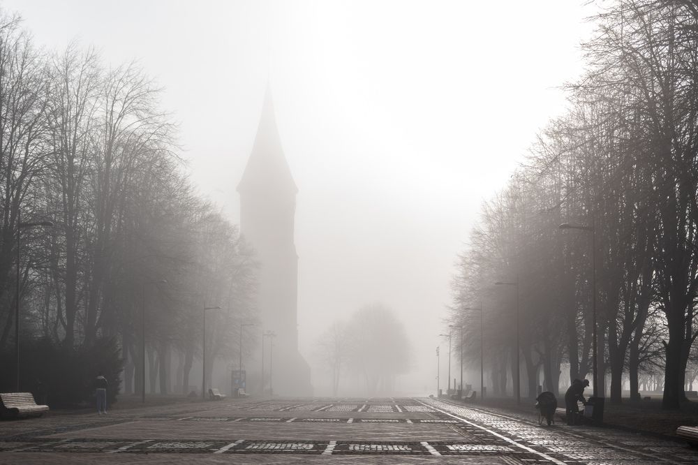 Photograph by Людмила Комарова