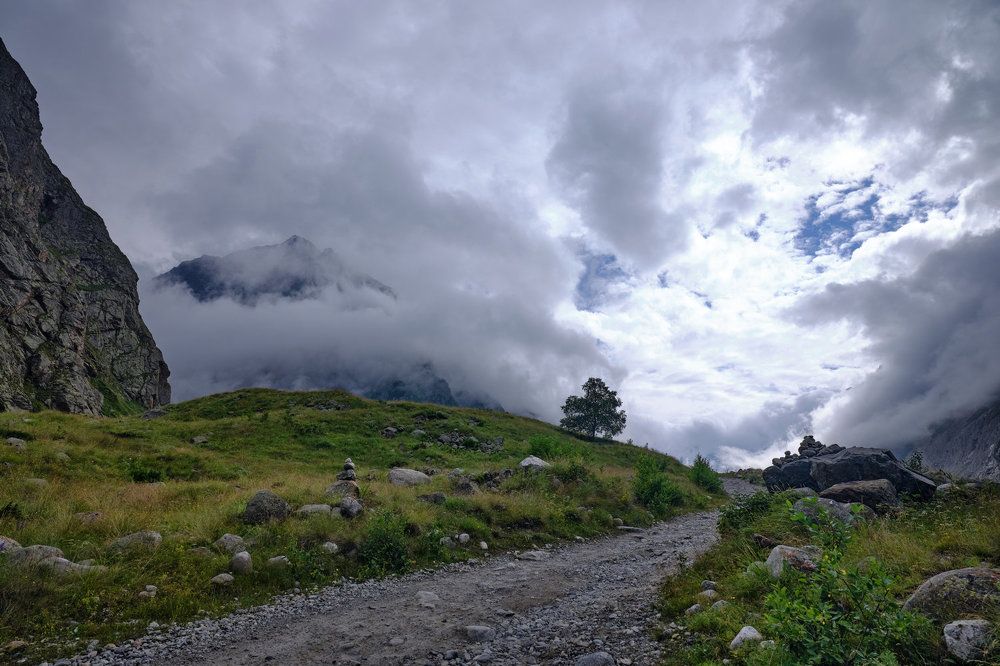 Photograph by Ирина