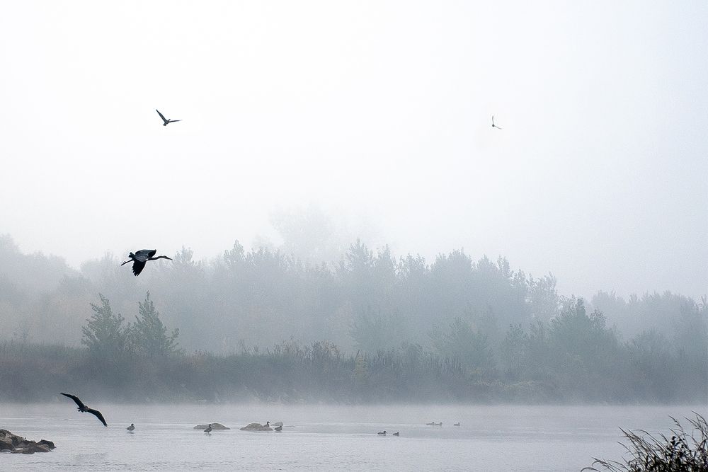 Photograph by Inga Cvijanovic