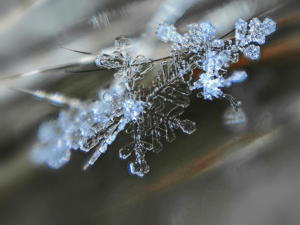 Photograph by Дмитрий Кузнецов