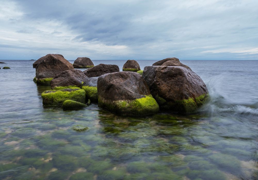 Photograph by Dmitry Shvarev