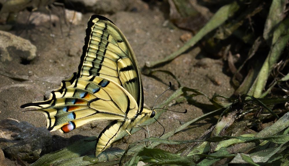 Photograph by Николай Багно