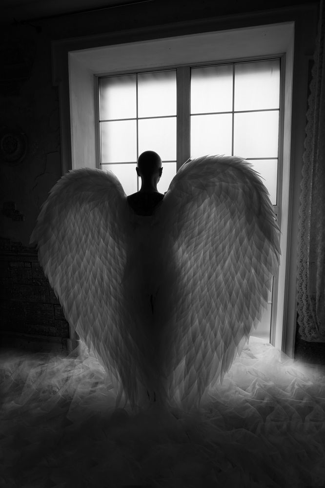 Новая жизнь