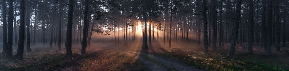 Photograph by Marian Lubawski