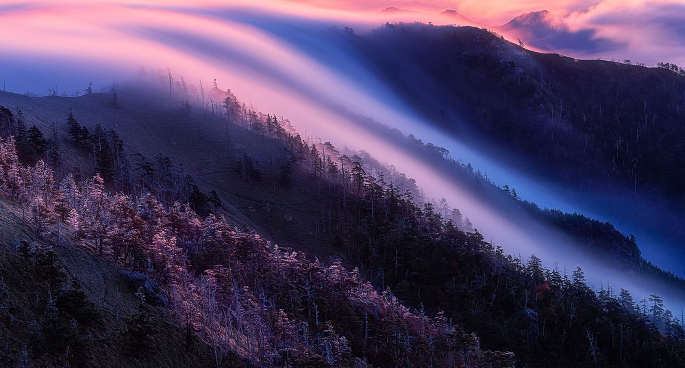 Photograph by si ong the