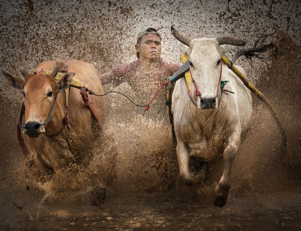 Photograph by Fira Kwan