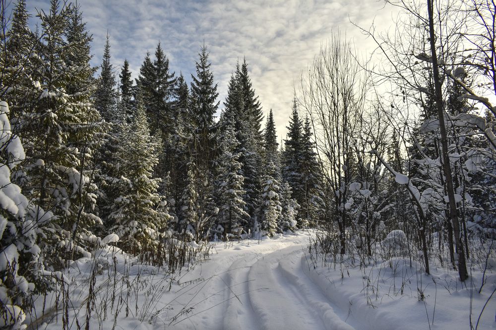 Photograph by Роман Пацкевич