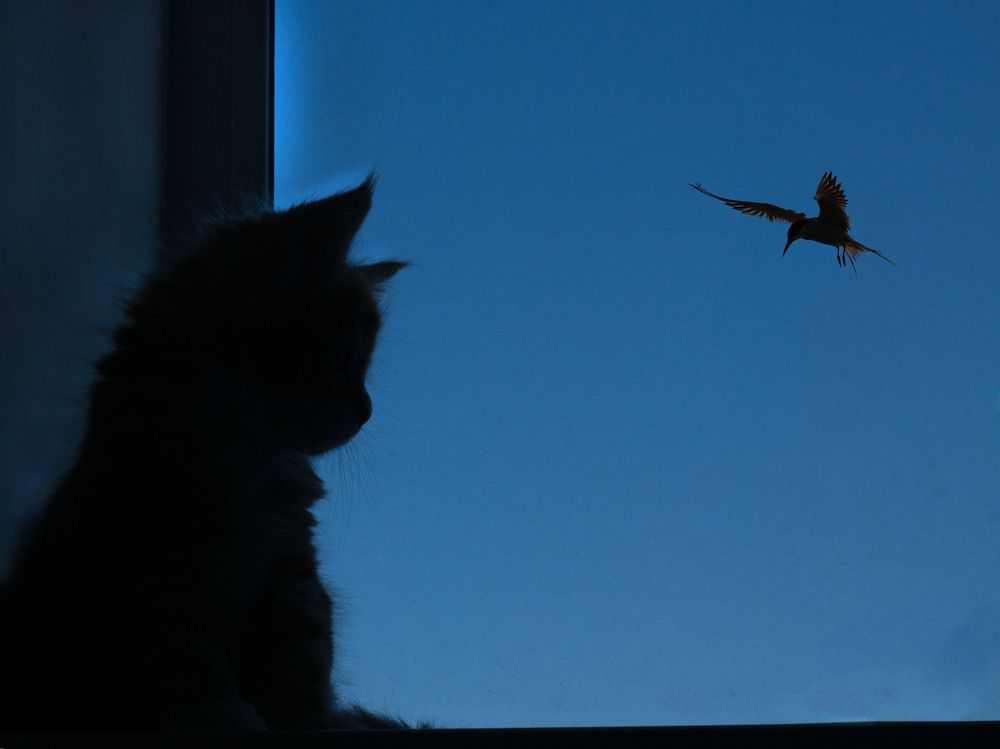 Photograph by Ирина Мамонова