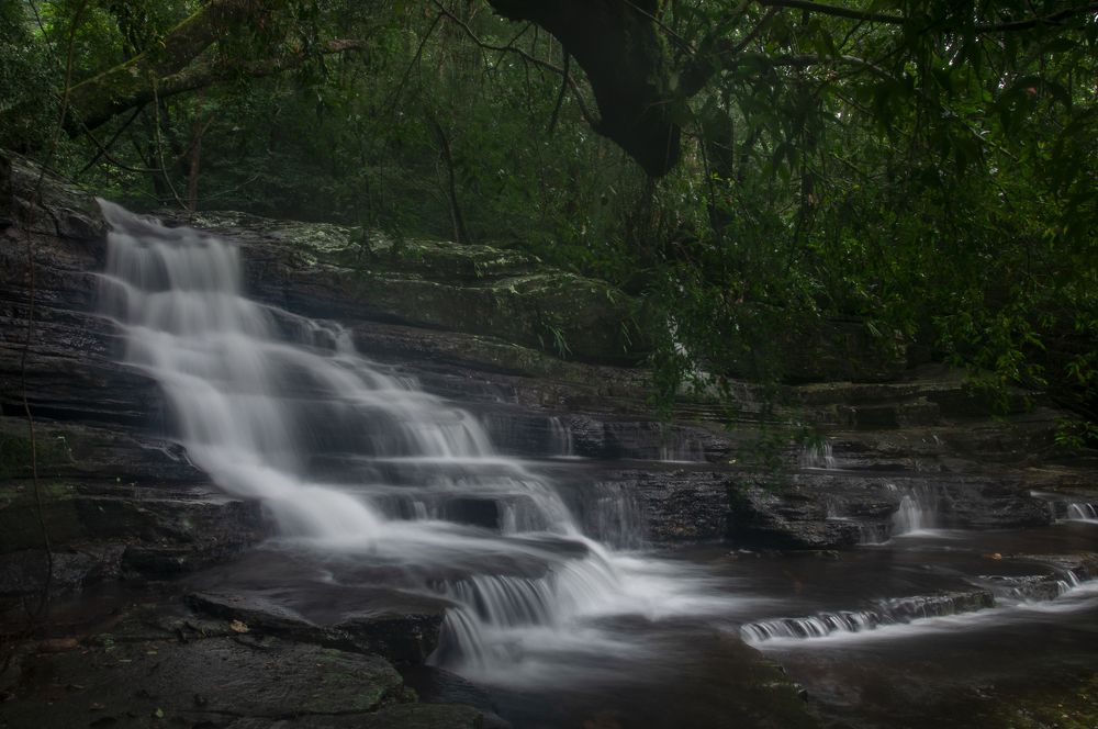 Photograph by Chamara Sulakkhana Polwatta Siriyalage