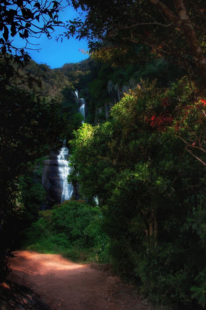 Photograph by Chamara Sulakkhana Polwatta Siriyalage