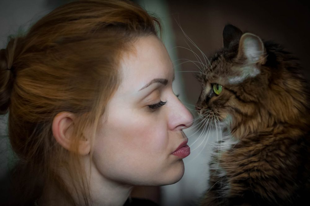 Человек и кошка