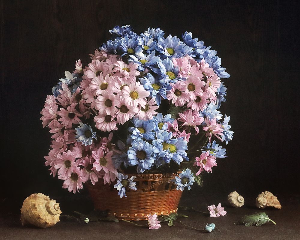 Фотография автора ТАТЬЯНА ЗАХАРОВА