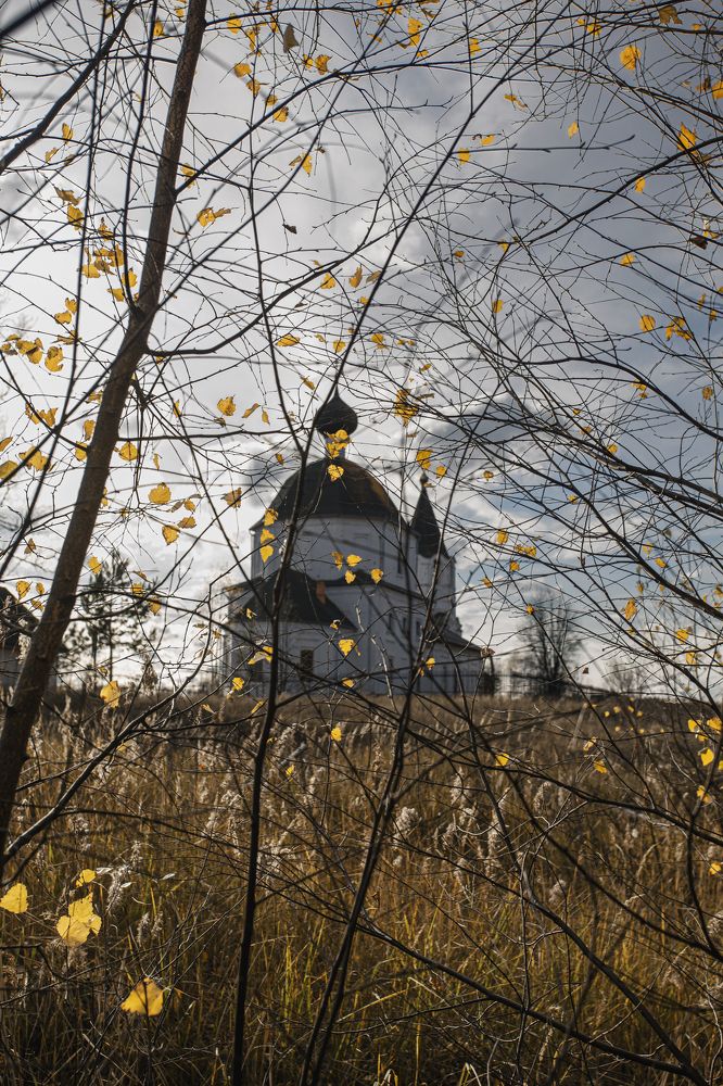 Фотография автора Татьяна