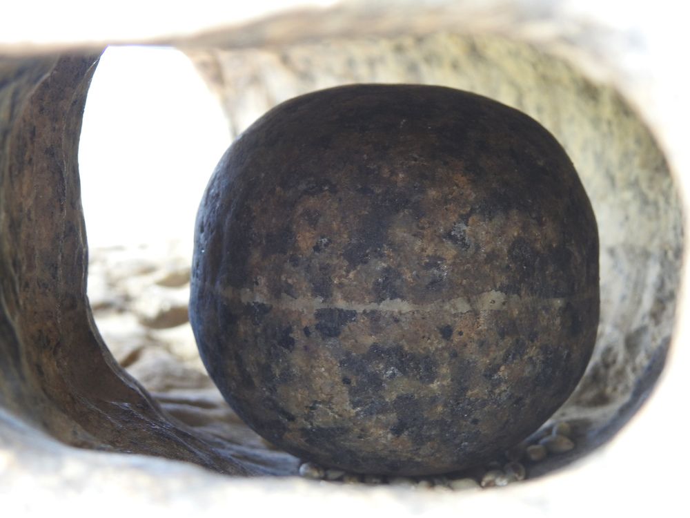 Photograph by Baatarsuren B