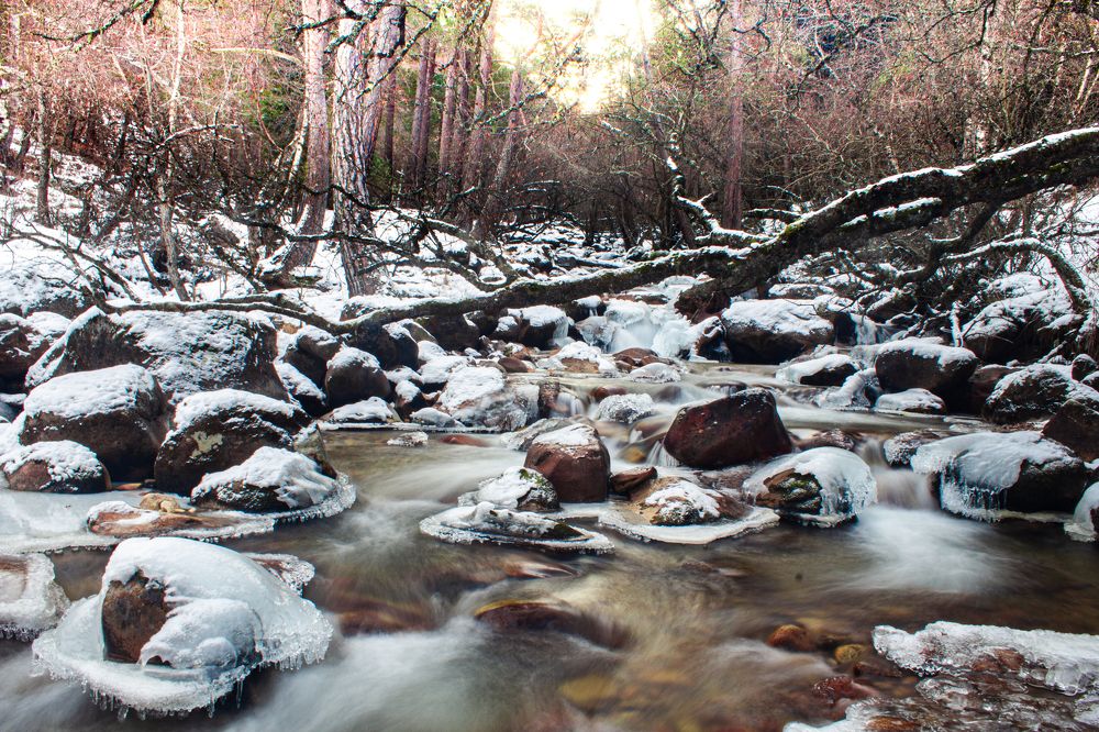 Photograph by сергей паршиков