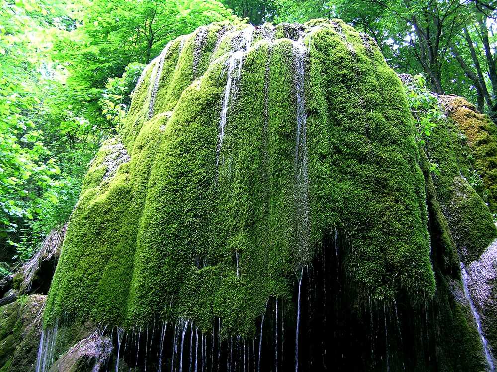 Photograph by Иван Скрипкин