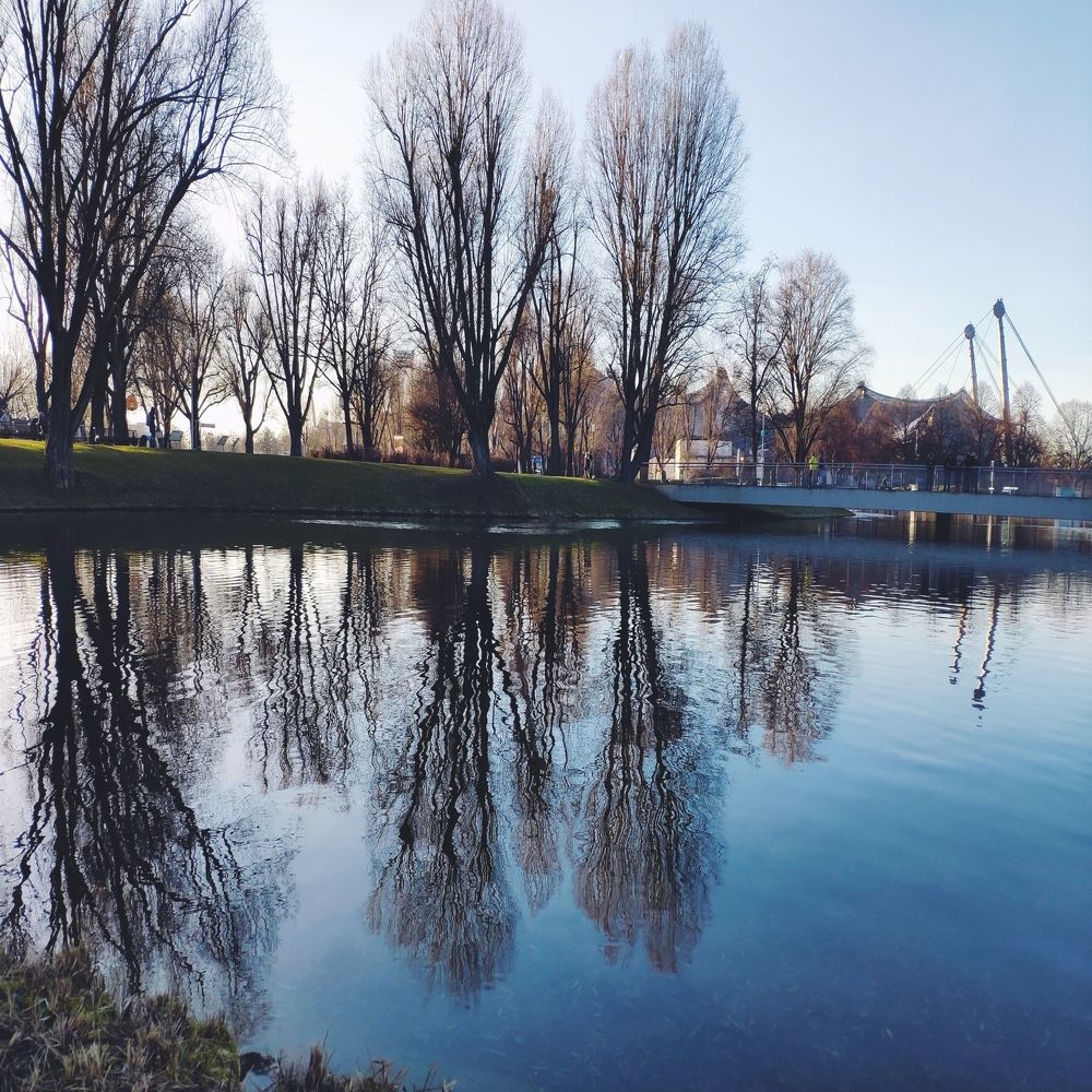 Photograph by Luis Alfredo Morales Torres