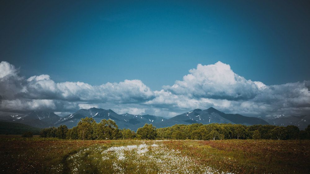 Фотография автора Михаил Назаров
