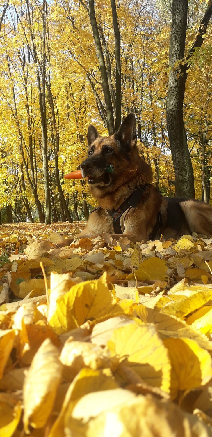 Photo #6815147