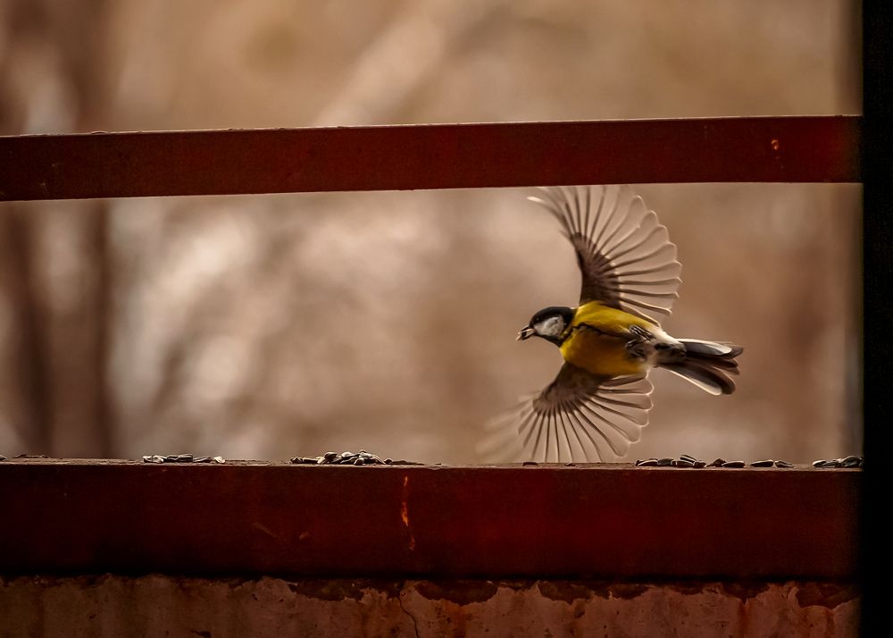 Photograph by Александр Петренко