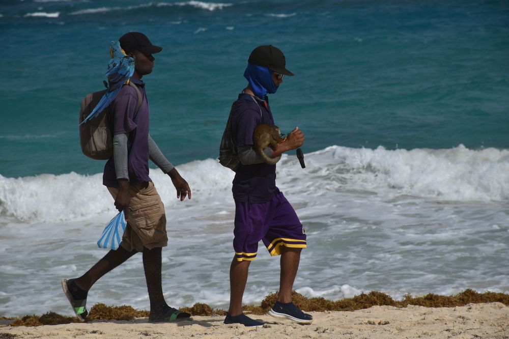 Photograph by Сергей Смирнов