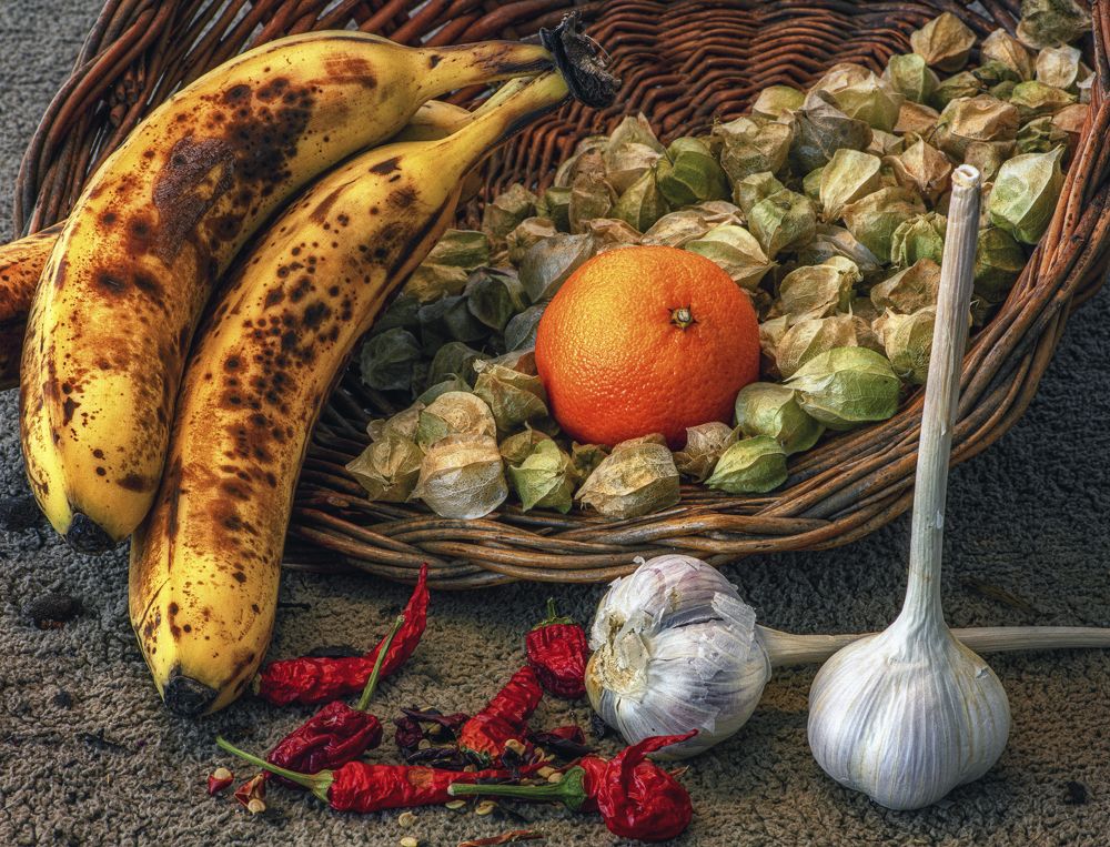 Photograph by Marc-Alain Ferragne