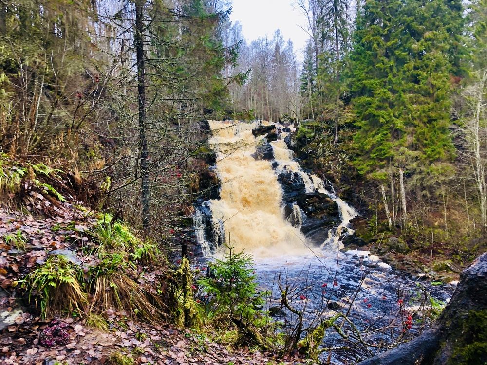 Photograph by ЮЛИЯ СУЛИМОВА