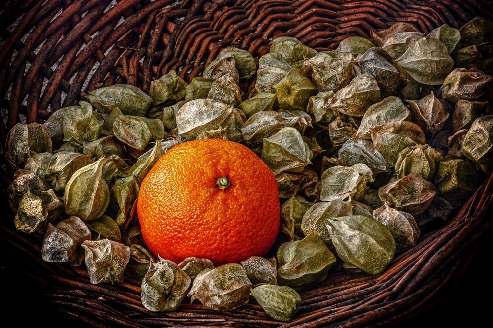 Photograph by Marc-Alain Ferragne