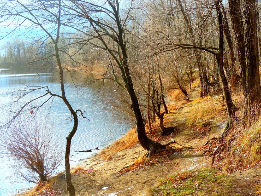 Рыжая осень