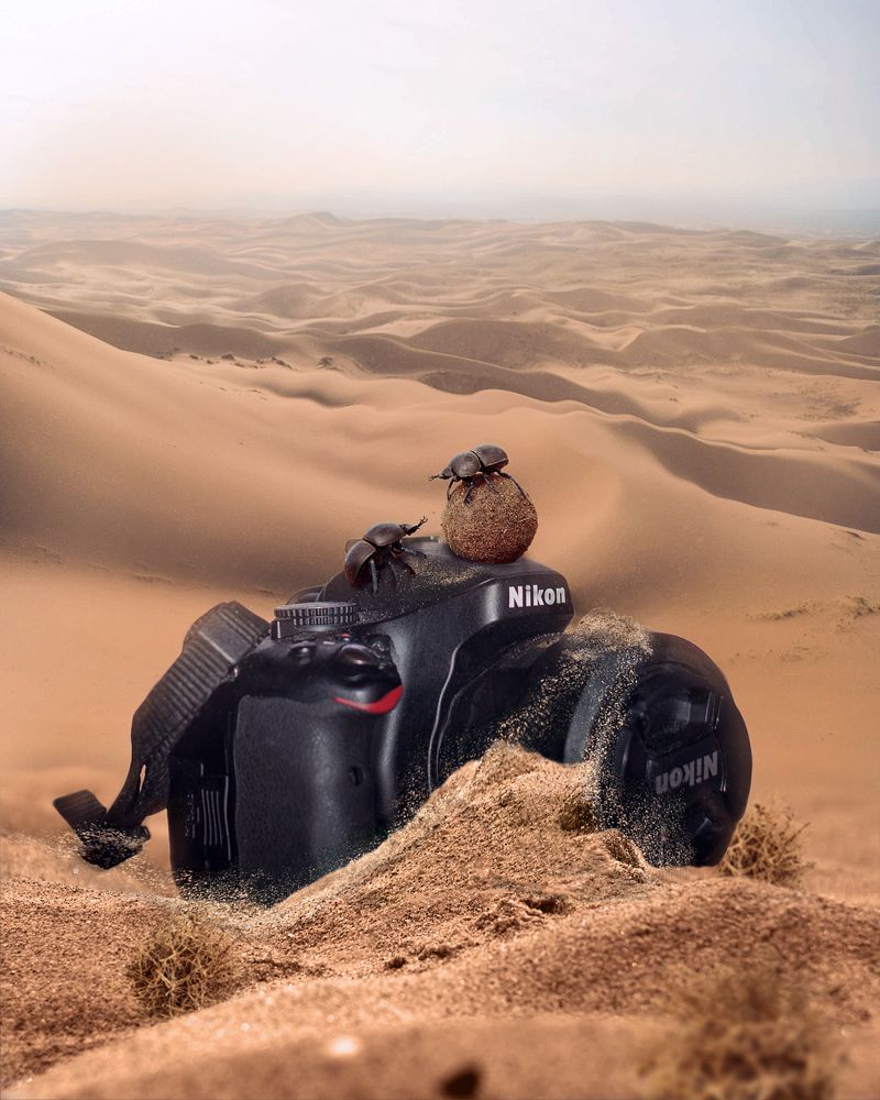 Photograph by Ирина Фуфина