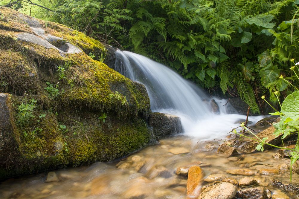 Фотография автора Андрій Лучишин