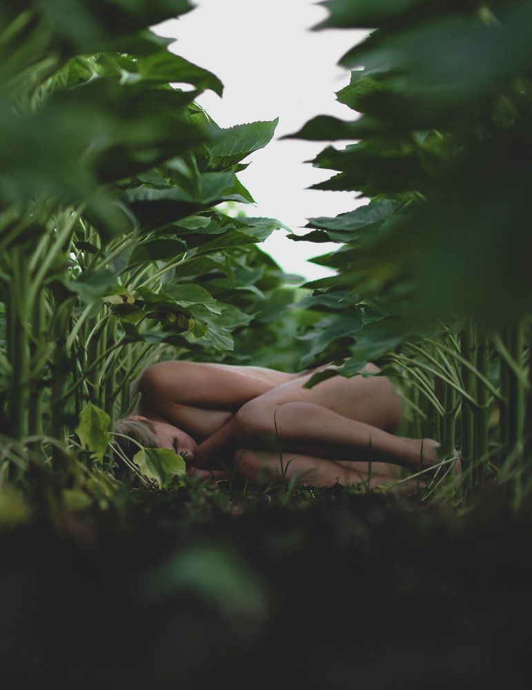 Природа тела