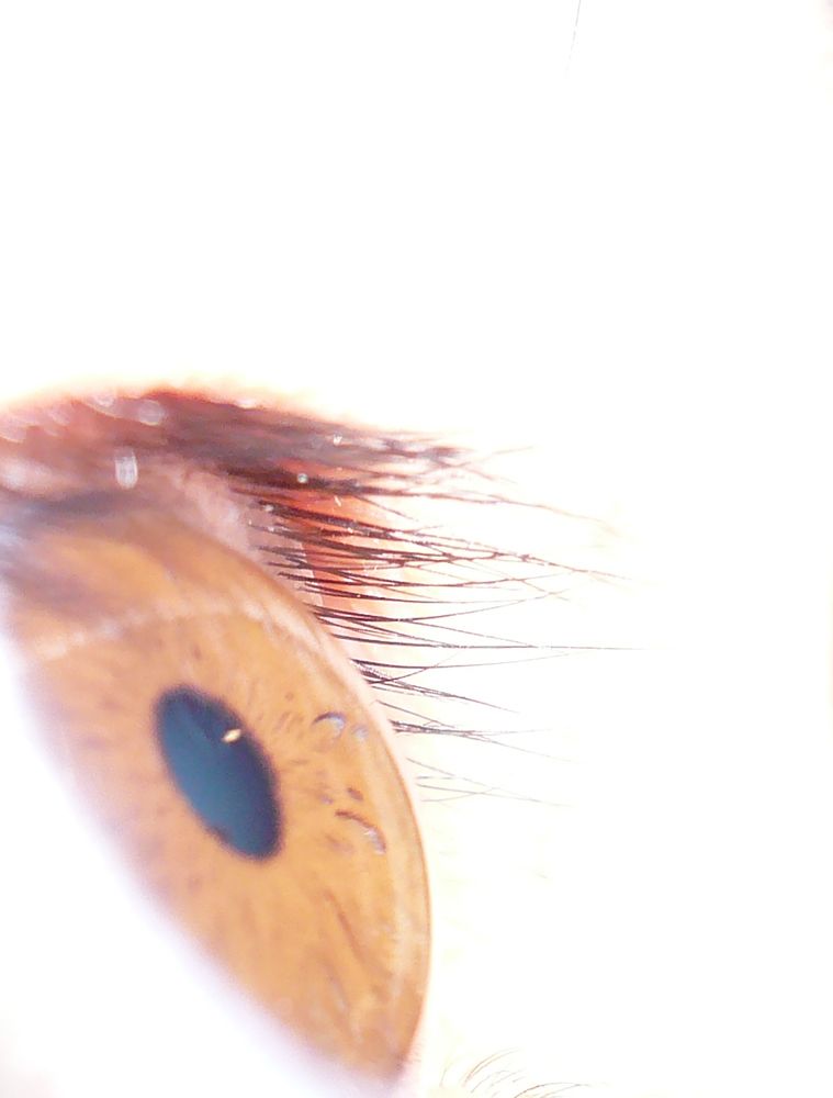 Photograph by Carine Czerwonogora