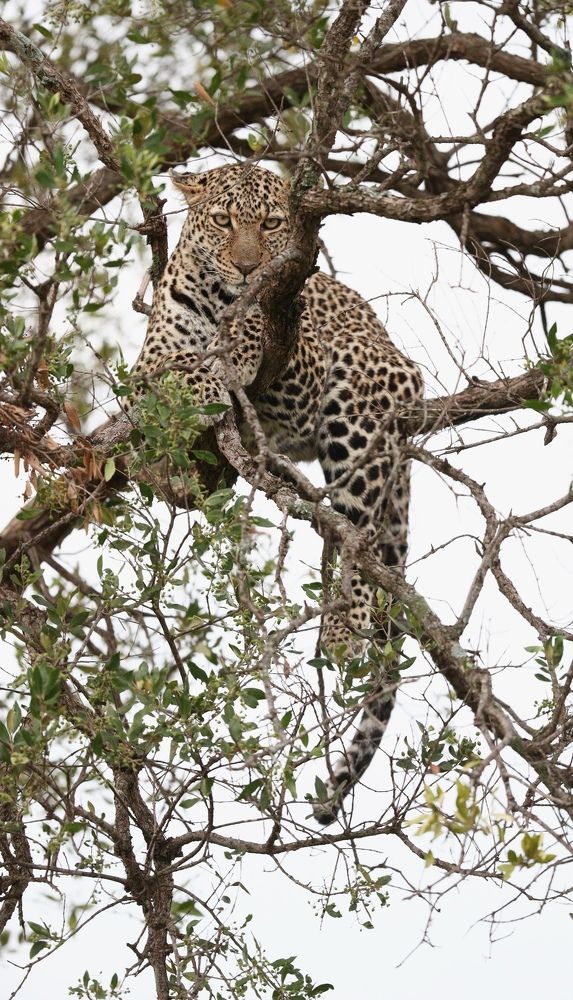 Photograph by Nilesh Tandel